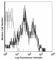 Purified anti-human CD95 (Fas) Antibody (305602)