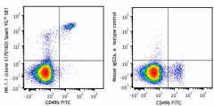 Spark YG™ 581 anti-mouse NK-1.1 Antibody (156531)