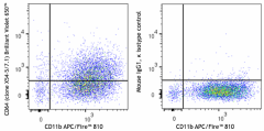 Brilliant Violet 650™ anti-mouse CD64 (FcγRI) Antibody (139337)