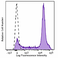 Brilliant Violet 421™ anti-mouse CD38 Antibody (102732)