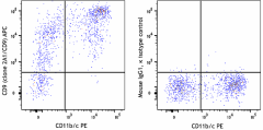 APC anti-rat CD9 Antibody (206503)