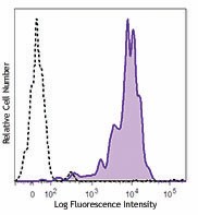 PE/Cyanine7 anti-mouse CD133 Antibody (141209)