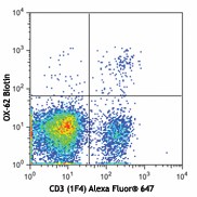 Biotin anti-rat CD103 (αE Integrin) Antibody (205503)