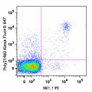 Alexa Fluor® 647 anti-Asialo-GM1 Antibody (146003)