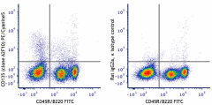 PE/Cyanine5 anti-mouse CD135 Antibody (135311)