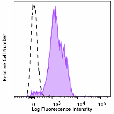 Purified anti-mouse CD31 Recombinant Antibody (109502)