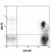 PE anti-human CD73 (Ecto-5'-nucleotidase) Antibody (344003)