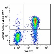 Brilliant Violet 605™ anti-human CD127 (IL-7Rα) Antibody (351333)
