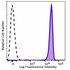 GMP APC/Fire™ 750 anti-human CD45 Antibody (260010)