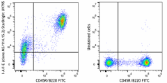 StarBright UltraViolet 795 anti-mouse I-A/I-E Antibody (107685)
