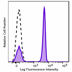 GMP Spark Violet™ 423 anti-human CD4 Antibody (260482)