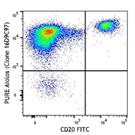 Purified anti-human Aiolos Antibody (371102)