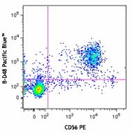 Pacific Blue™ anti-human Perforin Antibody (353305)