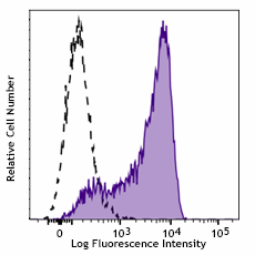 Purified anti-STAT5 Phospho (Tyr694) Antibody (936902)