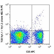 Purified anti-mouse TCR Vγ1.1 + Vγ1.2 Antibody (142702)