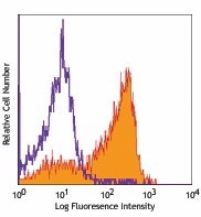 PerCP anti-mouse CD62L Antibody (104429)
