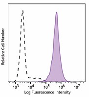 Purified anti-human LGR5 (GPR49) Antibody (373802)