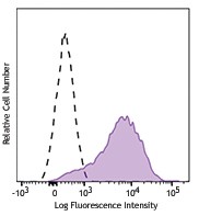 Brilliant Violet 785™ anti-human CD117 (c-kit) Antibody (313237)