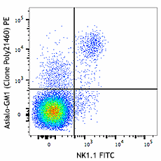 PE anti-Asialo-GM1 Antibody (146007)