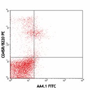 FITC anti-mouse CD93 (AA4.1, early B lineage) Antibody (136507)