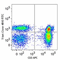 FITC anti-T-bet Antibody (644811)