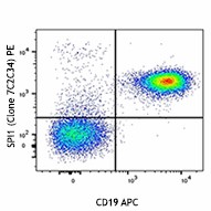 PE anti-SPI1 (PU.1) Antibody (681307)