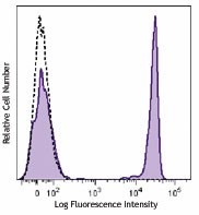 Brilliant Violet 711™ anti-human CD4 Antibody (317439)