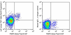 PerCP/Cyanine5.5 anti-mouse LAP (TGF-β1) Antibody (141409)