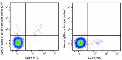 Brilliant Violet 421™ anti-human CD133 Antibody (393907)