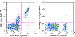 PE anti-human CD21 Antibody (354903)