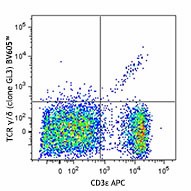 Brilliant Violet 605™ anti-mouse TCR γ/δ Antibody (118129)
