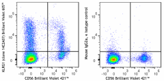 Brilliant Violet 605™ anti-human KLRG1 (MAFA) Antibody (368625)