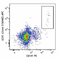 APC anti-human XCR1 Antibody (372605)