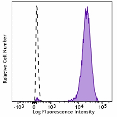 PE/Dazzle™ 594 anti-mouse Podoplanin Antibody (127419)