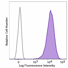 Purified anti-mouse CD146 Antibody (112102)