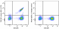 FITC anti-human TCR Cβ1 Antibody (383509)