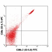 FITC anti-mouse CD8b.2 Antibody (140403)