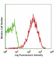 PE anti-mouse CD147 Antibody (123707)