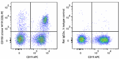 PE anti-mouse CD150 (SLAM) Antibody (162605)