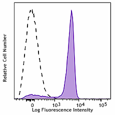 APC/Cyanine7 anti-mouse CD16 Antibody (158013)