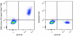Spark Violet™ 500 anti-human CD20 Antibody (302371)