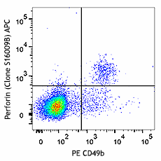 APC anti-mouse Perforin Antibody (154403)