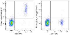 PE anti-human CD24 Antibody (382609)