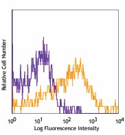 Biotin anti-mouse CD39 Antibody (135703)