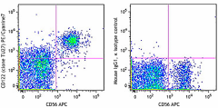 PE/Cyanine7 anti-human CD122 (IL-2Rβ) Antibody (339013)