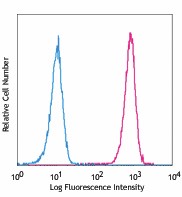 PE anti-human CD97 Antibody (336307)
