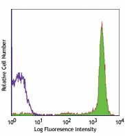 FITC anti-rat CD90/mouse CD90.1 (Thy1.1) Antibody (202503)