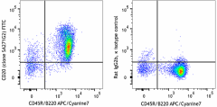 FITC anti-mouse CD20 Antibody (152111)