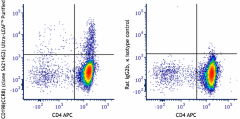 Ultra-LEAF™ Purified anti-mouse CD198 (CCR8) Antibody (150341)