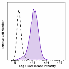 Brilliant Violet 785™ anti-human CD83 Antibody (305337)